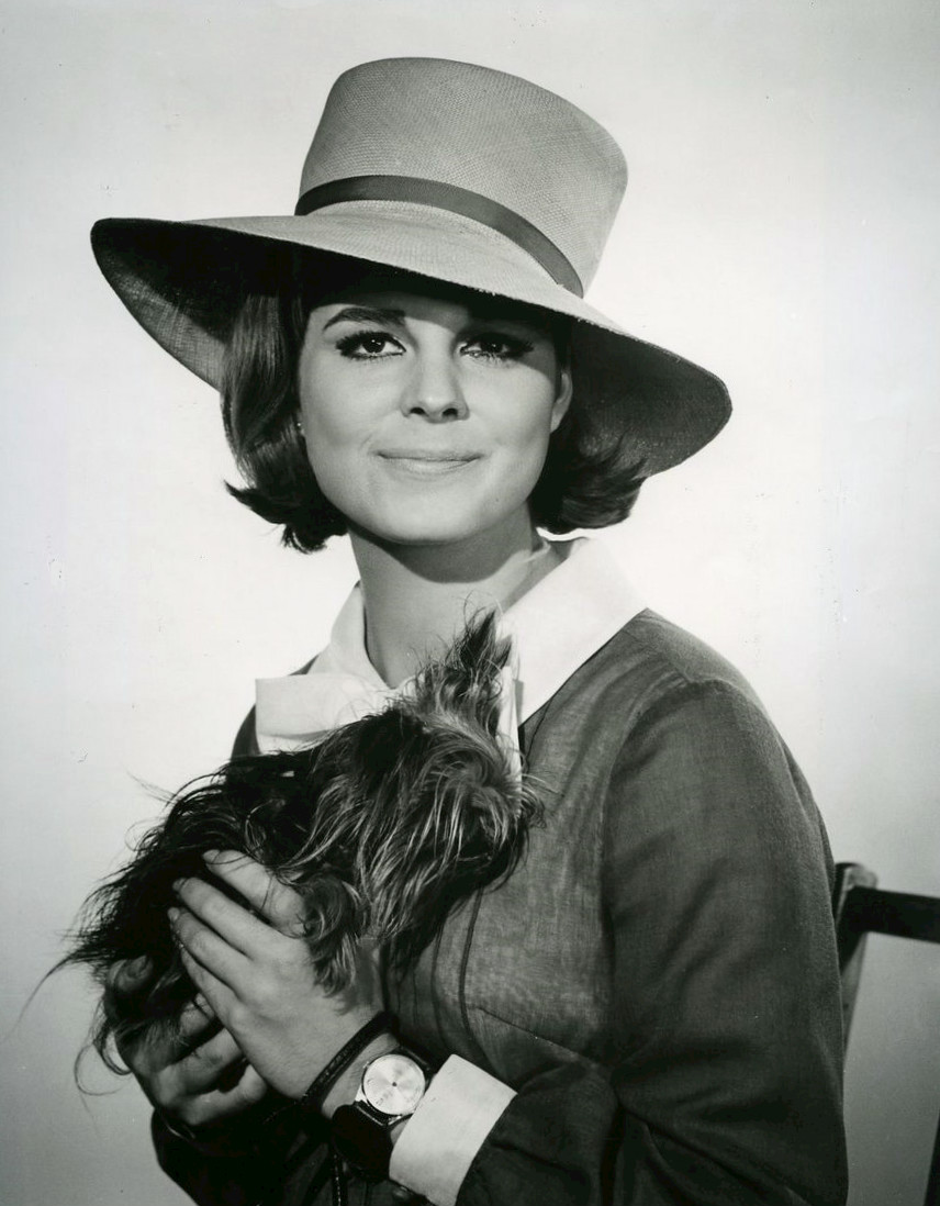 Susan Saint James — TV Flash editorial portrait