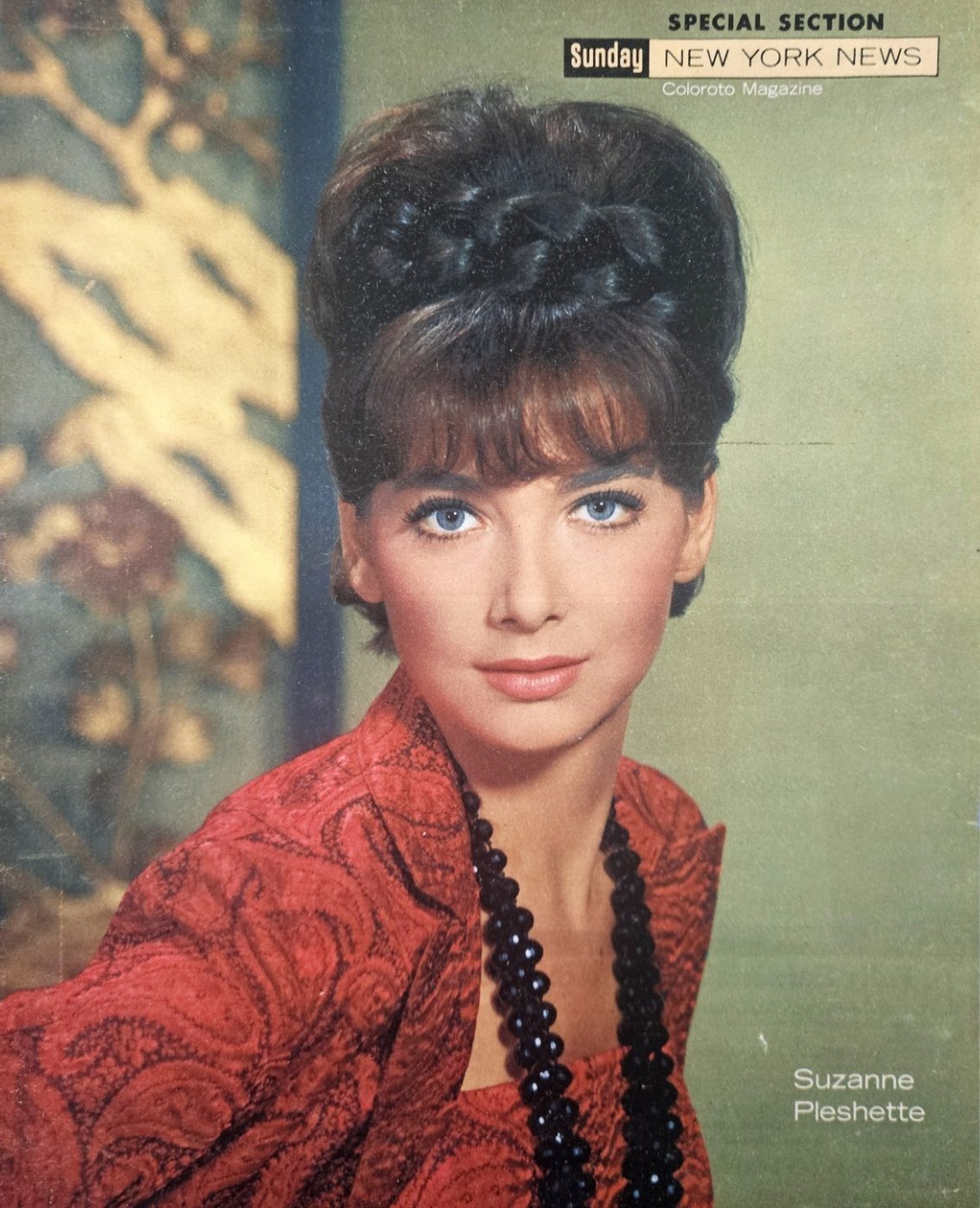 Suzanne Pleshette — TV Flash editorial portrait