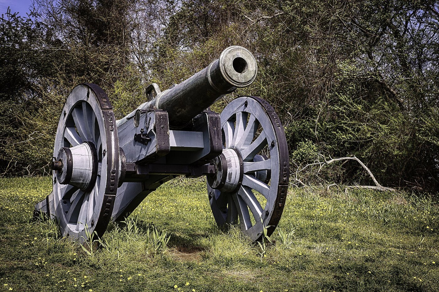 Cannon — editorial still collage for TV Flash