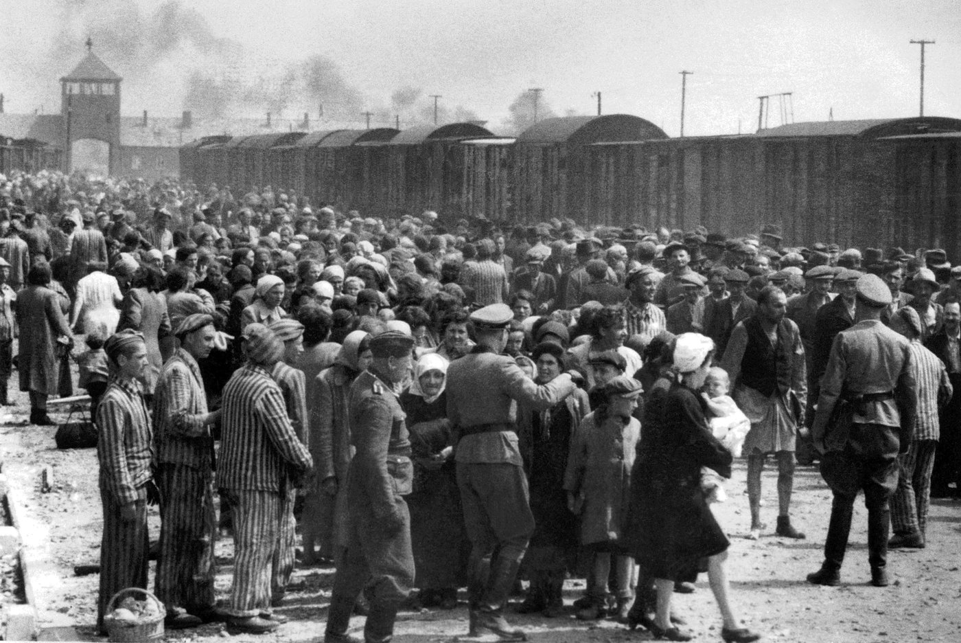 Holocaust — editorial still collage for TV Flash